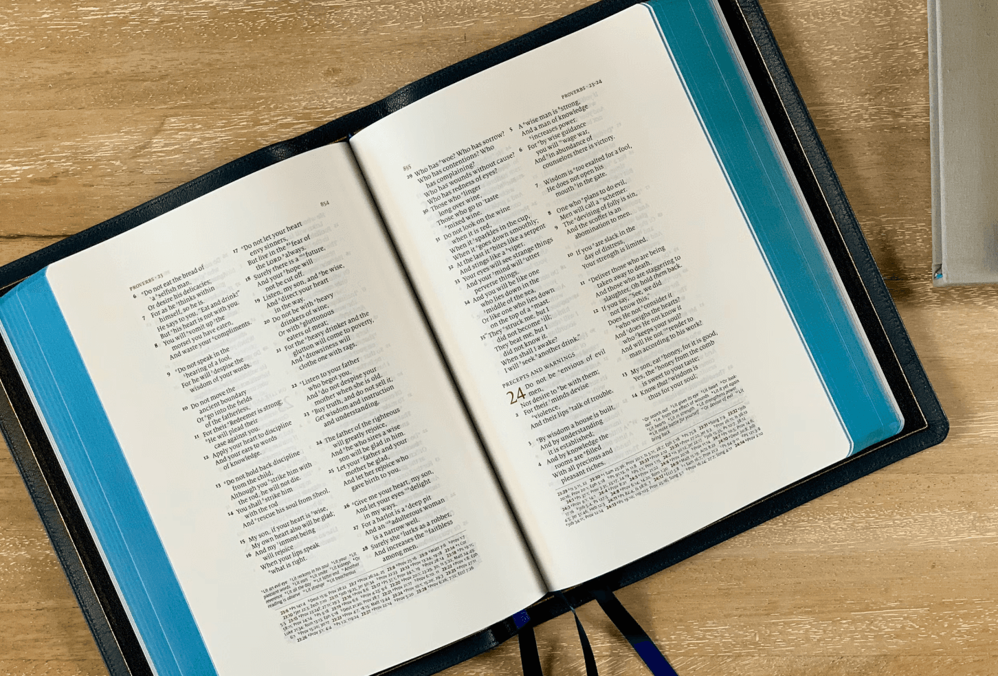 TRINS: Towards Multimodal Language Models that Can Read