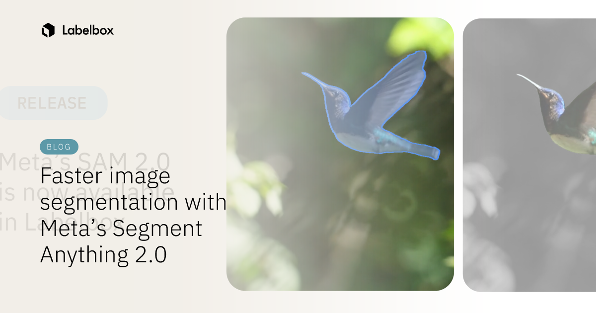 Faster image segmentation with Meta’s Segment Anything 2.0